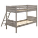 Ryder Bunk Bed - Orlando Furniture Outlet (Casselberry,FL)