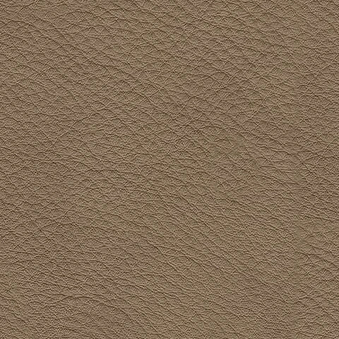 Veronella Sectional with Chaise
