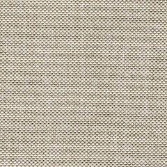 Coastline Bay Outdoor Loveseat with Cushion - Orlando Furniture Outlet (Casselberry,FL)