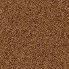 Carianna Loveseat - Orlando Furniture Outlet (Casselberry,FL)