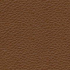 Healy Pier Power Recliner - Orlando Furniture Outlet (Casselberry,FL)