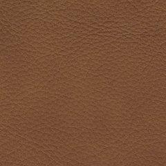 Magic Man 5-Piece Power Reclining Sectional - Orlando Furniture Outlet (Casselberry,FL)