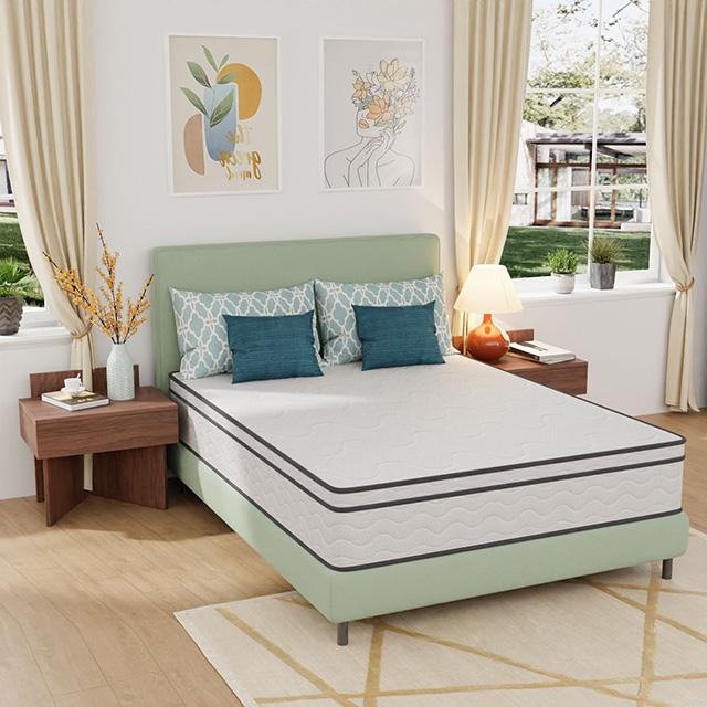Catmint Mattress - Orlando Furniture Outlet (Casselberry,FL)