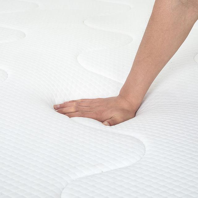 Catmint Mattress - Orlando Furniture Outlet (Casselberry,FL)